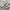 Spao Minimalist Casual Sweater Pria tan cream photo 5