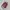 Coach Luxury Casual Crossbody Bag Wanita burgundy photo 4