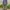 Hysteric Glamour Streetwear Tracksuit Pria green photo 2