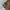 Coach Luxury Casual Handbag Wanita tan khaki photo 8