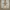 Vivienne Westwood Streetwear Casual Casual pants Pria white photo 3
