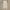 Vivienne Westwood Streetwear Casual Casual pants Pria white photo 5