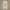 Vivienne Westwood Streetwear Casual Casual pants Pria white photo 1