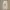 Vivienne Westwood Streetwear Casual Casual Pants Pria White
