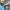 Converse Casual Sneakers Pria multicolor photo 7