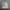Nike Sportswear Hat Pria white photo 1