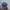 47 Brand Sportswear Hat Pria blue photo 3