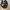 Japanese brand Casual Hat Pria khaki photo 4