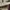 Compass Vintage Casual Sneakers Pria white gray photo 2