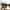 Ray Ban Casual Sunglass Wanita brown photo 3
