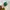 Adidas Casual Sneakers Wanita green blue photo 3