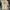 Stussy Streetwear Skater T-shirt Pria yellow photo 2