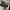 Converse Streetwear Sportswear Sneakers Pria purple cream photo 4