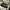 Converse Streetwear Sportswear Sneakers Pria purple cream photo 1
