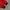 Feltics Streetwear Casual Bomber jacket Pria red black photo 6