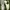 Nike Streetwear Skater Sneakers Pria white photo 1