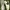 Nike Streetwear Skater Sneakers Pria White