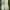 Nike Streetwear Skater Sneakers Pria white photo 3