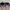 Dunhill Indie Casual Sunglass Pria navy photo 4