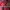 GAP Streetwear Casual Casual dress Wanita red photo 2