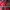 GAP Streetwear Casual Casual Dress Wanita Red