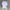 Luxury Formal shirt Pria white photo 1