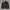 Dickies Vintage Y2K Bomber jacket Pria gray photo 3