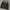 Dickies Vintage Y2K Bomber jacket Pria gray photo 2