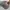 Streetwear Casual Hat Pria gray photo 2