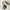 Herschel Casual Bag Pria multicolor photo 1