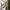 Herschel Casual Bag Pria multicolor photo 6