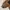 Carhartt Vintage Streetwear Hoody Pria brown photo 5