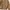 Carhartt Vintage Streetwear Hoody Pria brown photo 2
