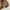 Carhartt Vintage Streetwear Hoody Pria brown photo 6