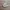 VANS Casual Sneakers Pria white cream photo 1