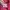 Carhartt Vintage Y2K Formal shirt Pria red photo 5