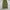H&M Vintage Y2K Jeans Pria Green