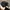 Japanese brand Y2K Biker Hat Pria black yellow photo 2