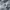 Adidas Streetwear Hoody Wanita gray photo 8