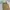 Carhartt Vintage Y2K Jeans Pria brown photo 2
