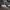 Adidas Casual Casual shoe Pria white black photo 2