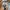Helly Hansen Streetwear Casual Windbreaker Pria multicolor photo 3