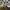 Helly Hansen Streetwear Casual Windbreaker Pria multicolor photo 7
