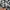 Helly Hansen Streetwear Casual Windbreaker Pria multicolor photo 5