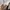 Adidas Streetwear Casual Windbreaker Pria multicolor photo 5
