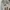 Adidas Streetwear Casual Windbreaker Pria multicolor photo 7
