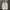 Adidas Streetwear Casual Windbreaker Pria multicolor photo 1