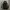 Adidas Streetwear Casual Windbreaker Pria black photo 1