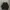 Adidas Streetwear Casual Windbreaker Pria black photo 2