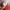 Nike Skater Casual Sweatshirt Pria red photo 7